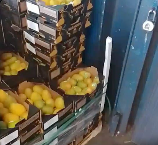 Cajas JL en el almacén