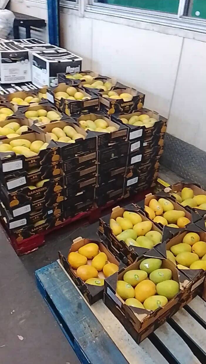 Cajas listas para despacho