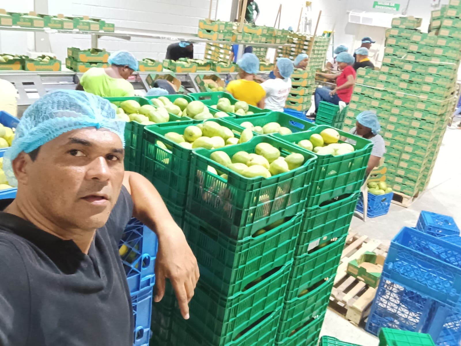 José Luis Arias en la planta de empaque