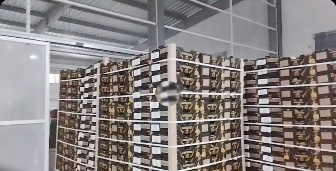 Pallets de cajas JL listos para exportar