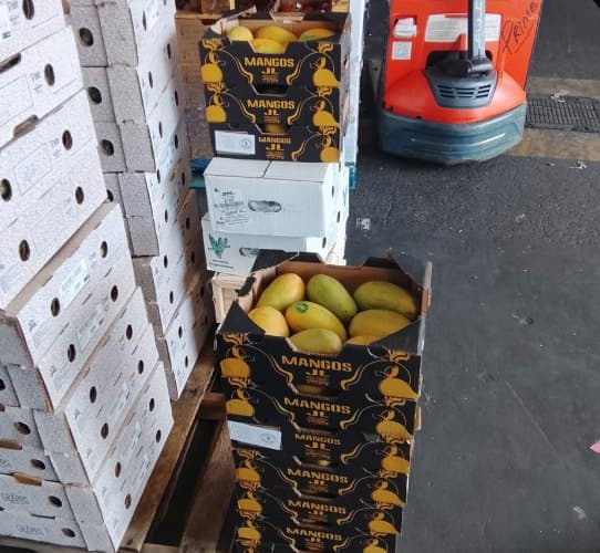 Cajas de mango JL en Merca Santo Domingo