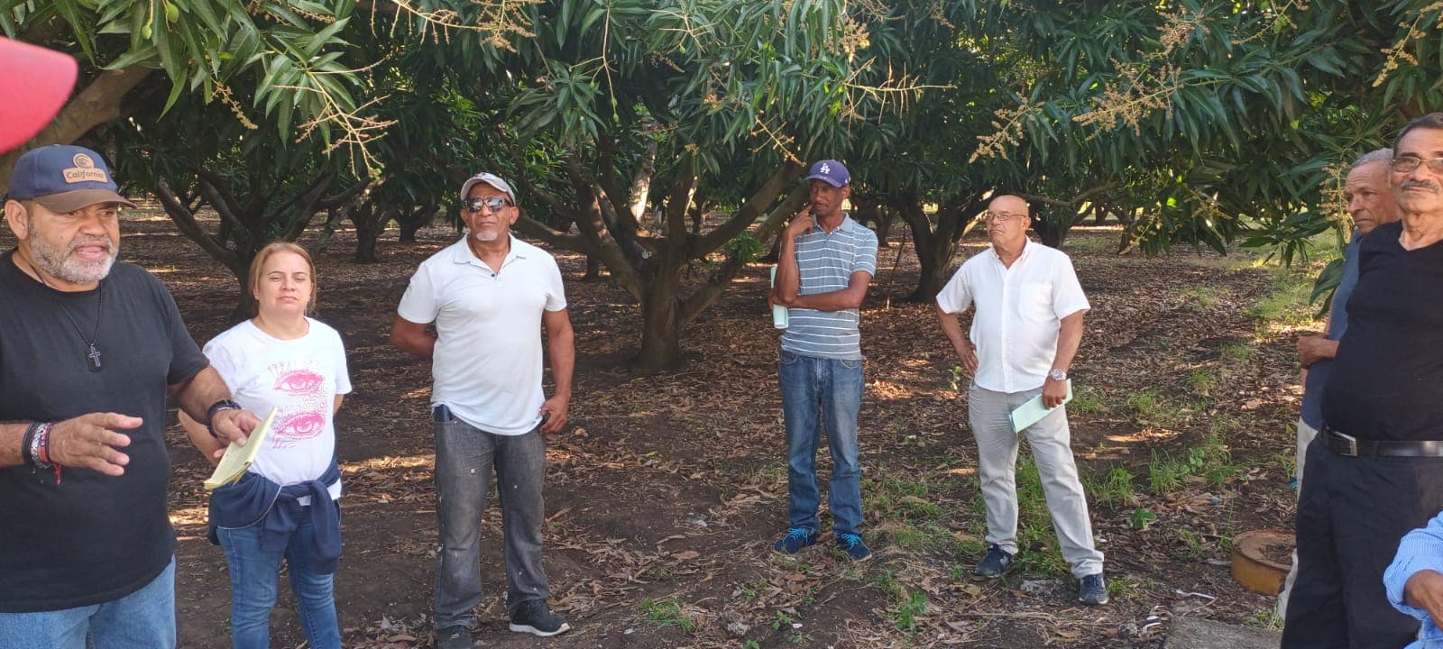 Equipo de campo en la finca